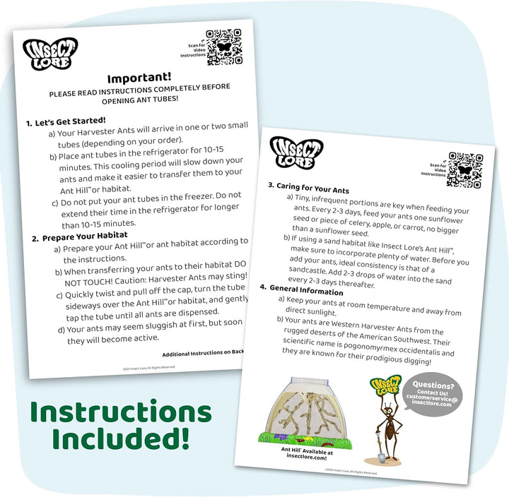 Insect Lore Ant Hill - Recambio de 25 hormigas vivas y