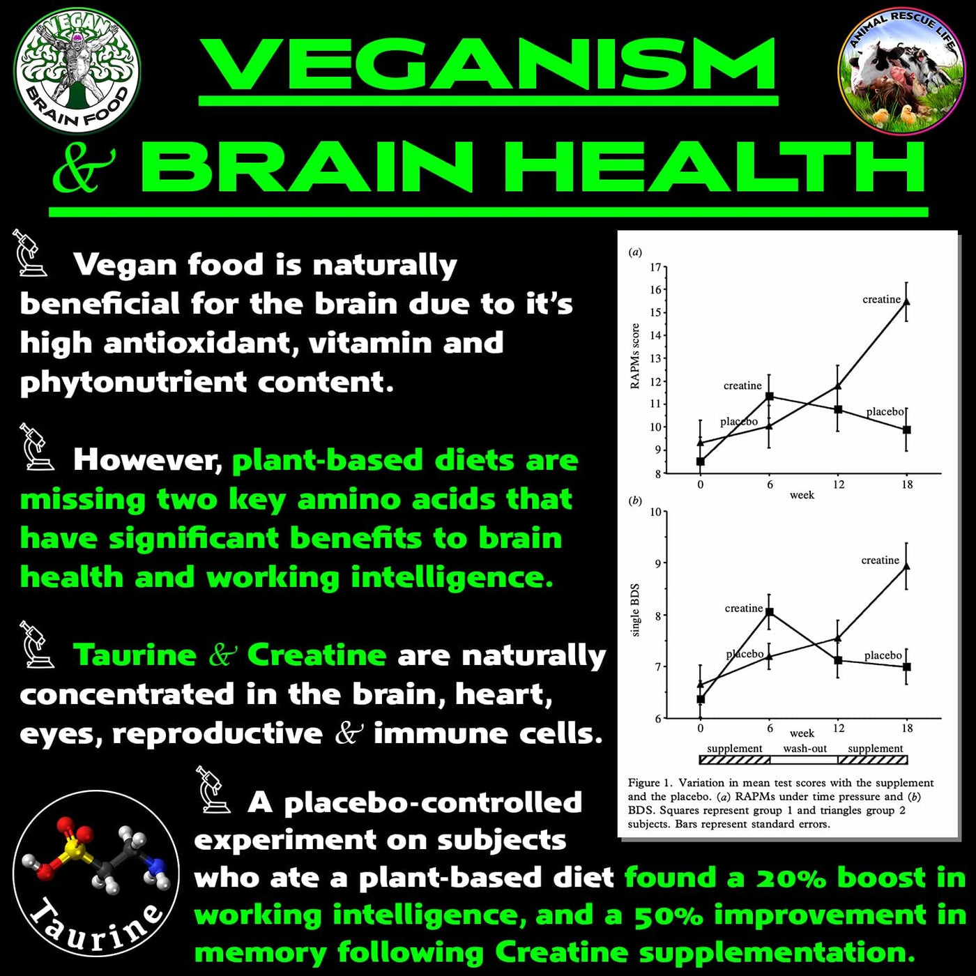 Vegan's Best Friend - Multivitamínico a base de plantas para ho...