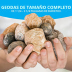 National Geographic Break Open 10 Premium Geodes para Kids Ages 8-12