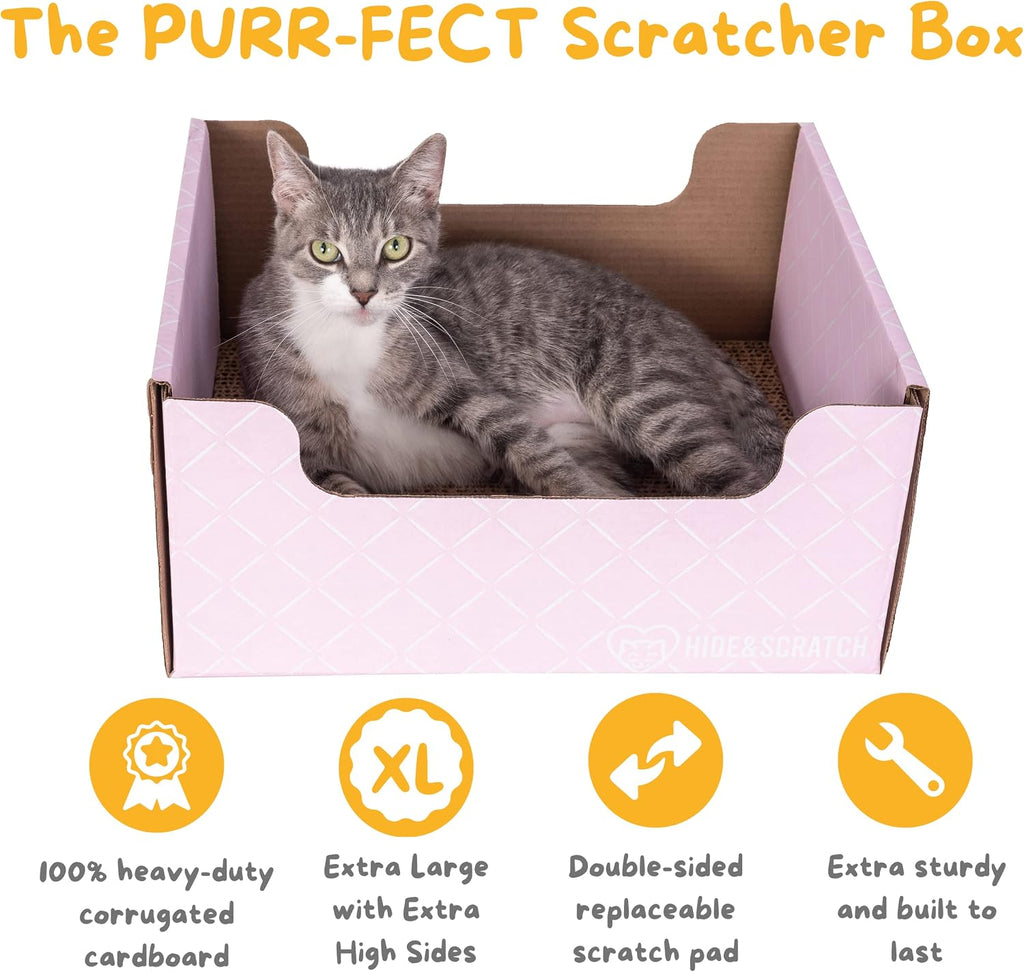 Hide & Scratch Caja rascador para gatos y palitos de vid plateada prémium con polvo de fruta de agalla