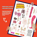 Dan&Darci Modelo de cuerpo blando de anatomía humana, kits de ciencia para niños de 4 a 8 años, juguetes STEM para regalo de cumpleaños de niños de 4, 5, 6, 7, 8 años, juguetes educativos de