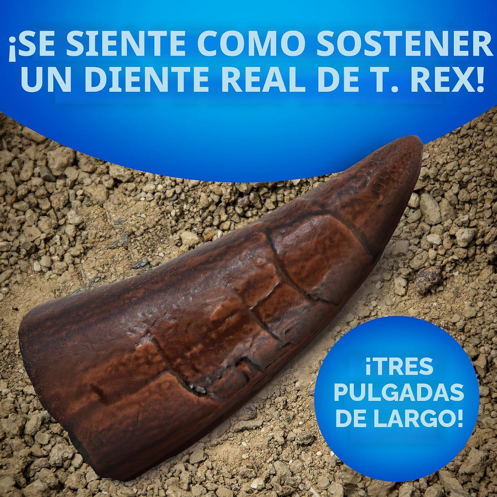 Juego de excavación de fósiles de dinosaurios NATIONAL GEOGRAPHIC y libro de dinosaurios para niños - Excava un fósil de diente de dinosaurio réplica y estudia la paleontología con un libro de