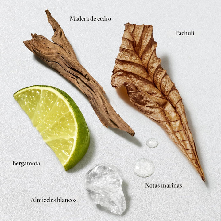 Armani beauty - Acqua di Gio - Bálsamo para después del afeitado -...