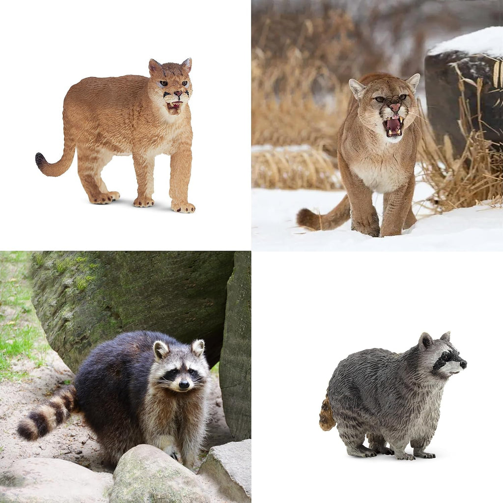 Toymany 12 figuras realistas de animales del bosque de América del Norte
