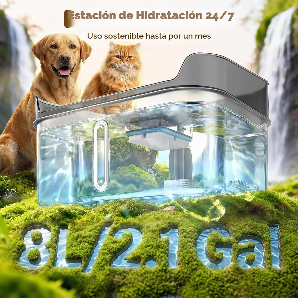 Fuente de agua grande de acero inoxidable para perros sin derrames, 2.1