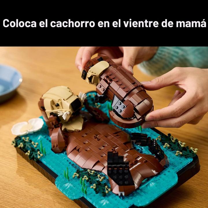 LEGO Ideas - Juego de construcción de nutrias marinas flotantes par...