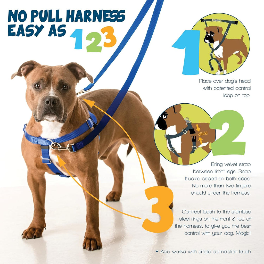 2 Hounds Design Freedom - Arnés y correa para perro sin tirones