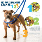 2 Hounds Design Freedom - Arnés y correa para perro sin tirones