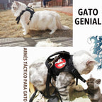AIWAI Arnés para gatos y correa para caminar, a prueba de escapes, chaleco suave y ajustable para gatos, fácil de controlar, malla suave transpirable con asa de control para gatos grandes, perros pequeños, regalo con parche