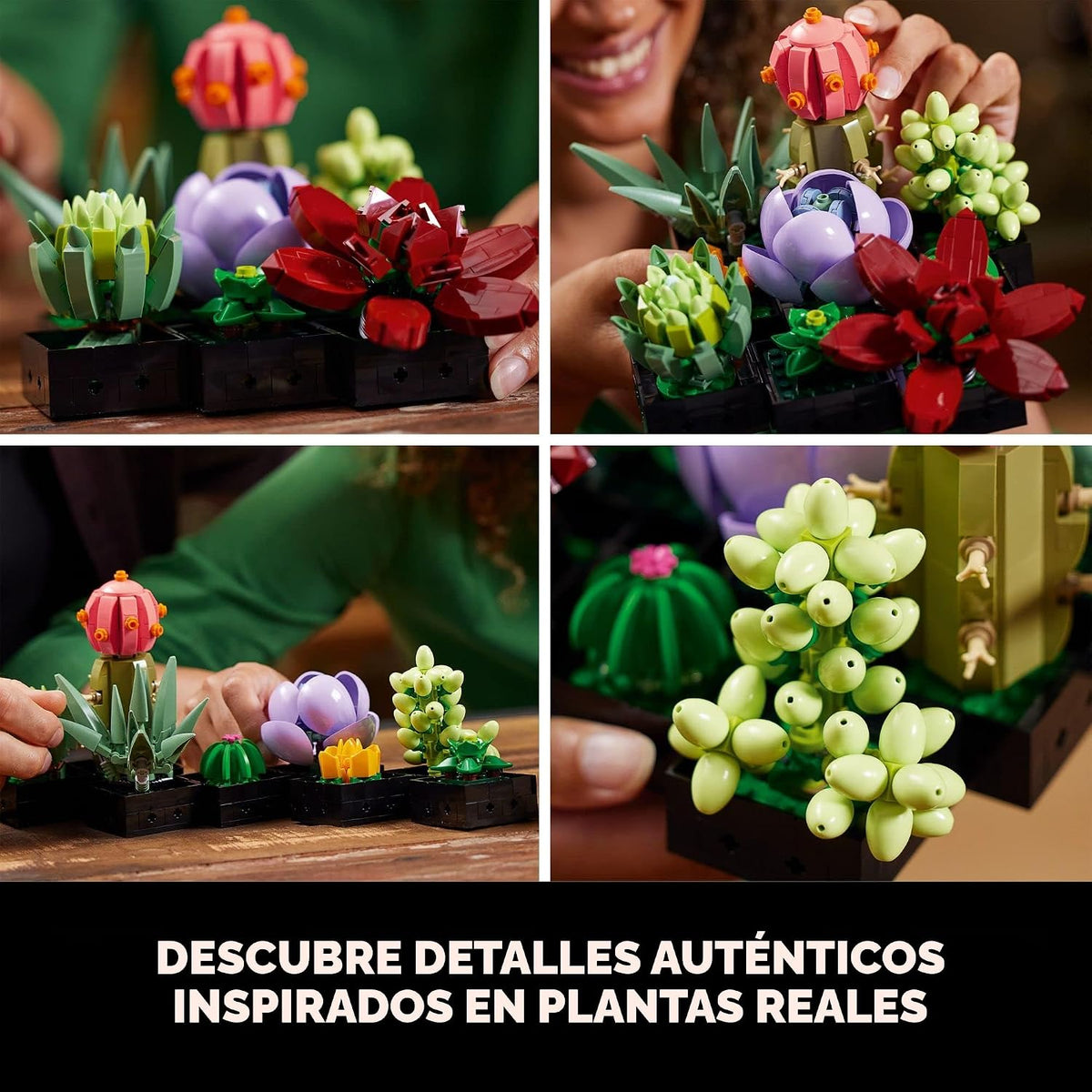 LEGO Suculentas Botánicas 10309