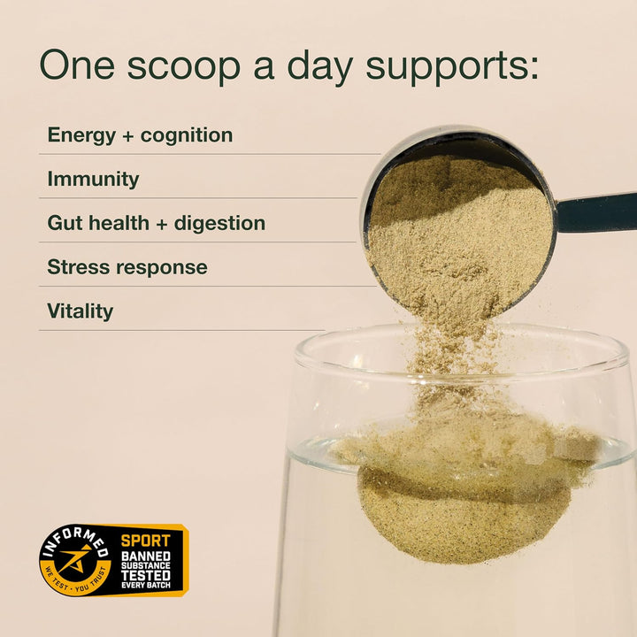 Nuzest Greens Powder Good Green Vitality - Vitaminas, minerales y s...