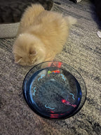 Juguete de peces de natación para gatos, juguete de agua impermeable brillante para gatos con velocidad ajustable y movimiento realista, cola giratoria de una manera realista