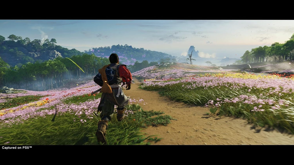 PlayStation, Ghost Of Tsushima Director's Cut (PS5)
