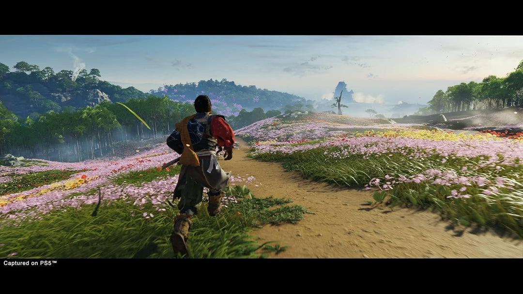 PlayStation, Ghost Of Tsushima Director's Cut (PS5)