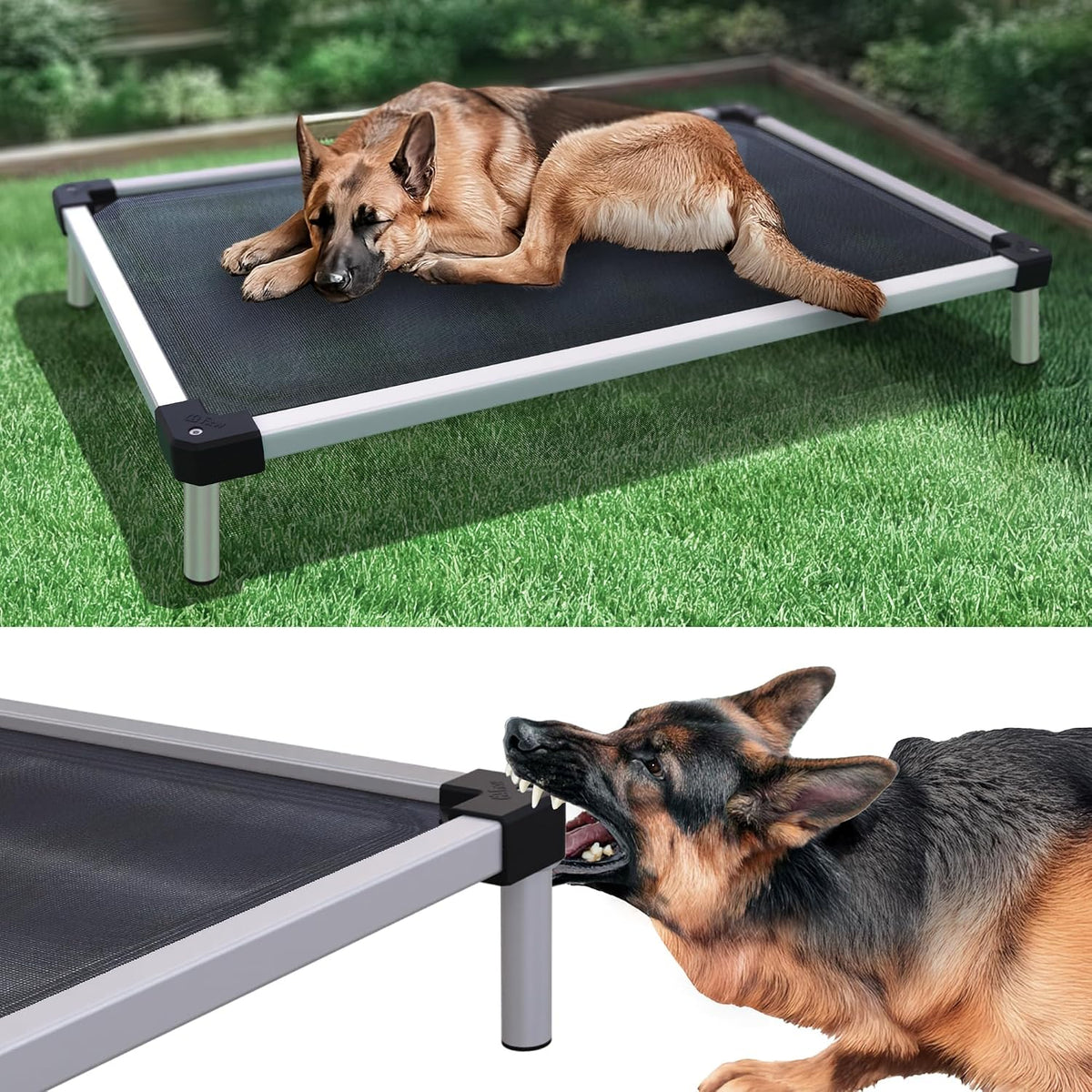 FXW TitanNest Cama Elevada para Perro Grande con Enfoque en Refrigeración y a Prueba de Masticación
