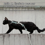 Juego de arnés y correa ajustable para gatos a prueba de escape
