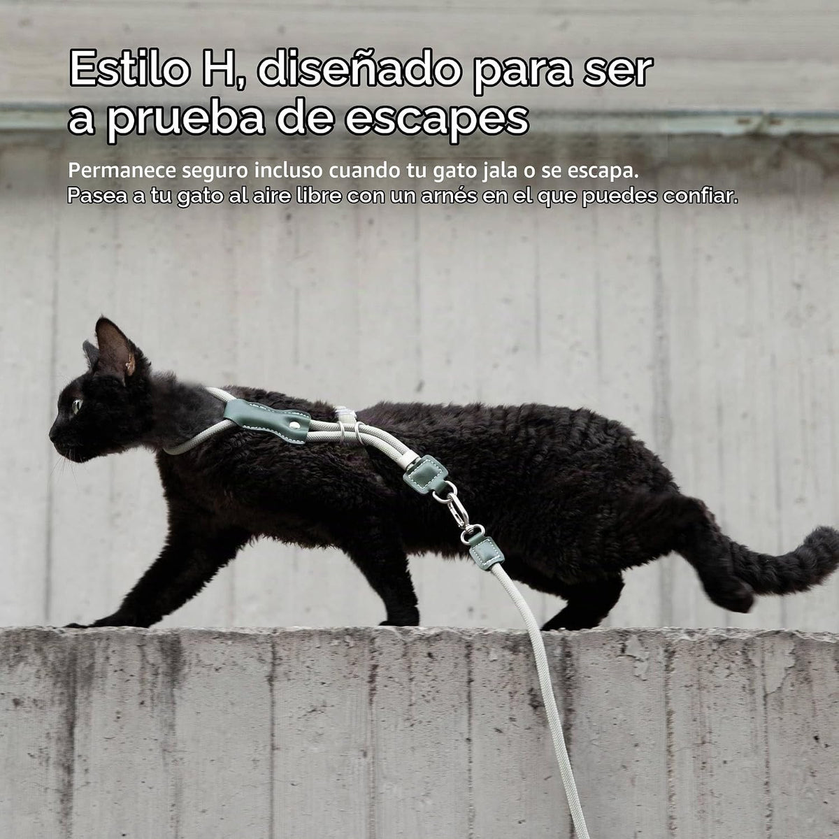 Juego de arnés y correa ajustable para gatos a prueba de escape