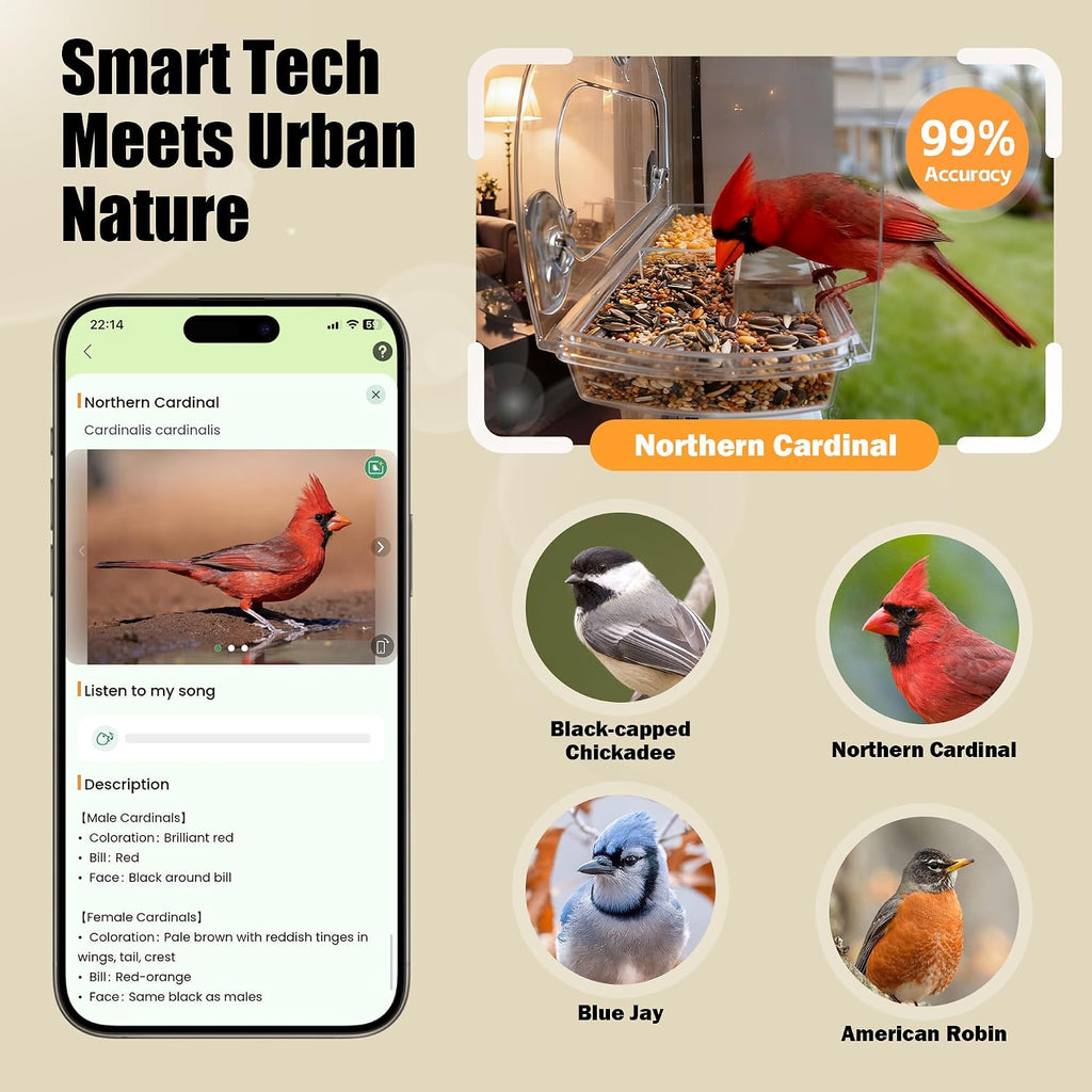 Comedero para pájaros con ventosas fuertes y cámara inteligente impermeable