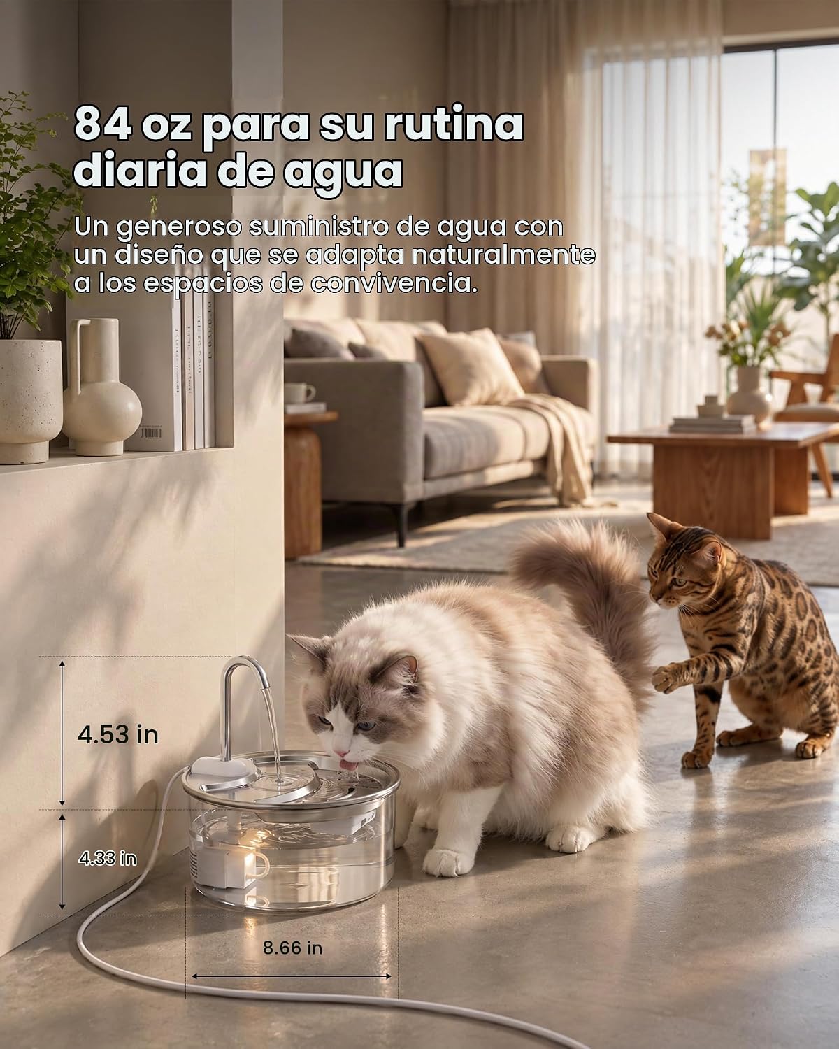 Tomxcute Fuente de agua de cristal para gatos, 84 onzas, apta para