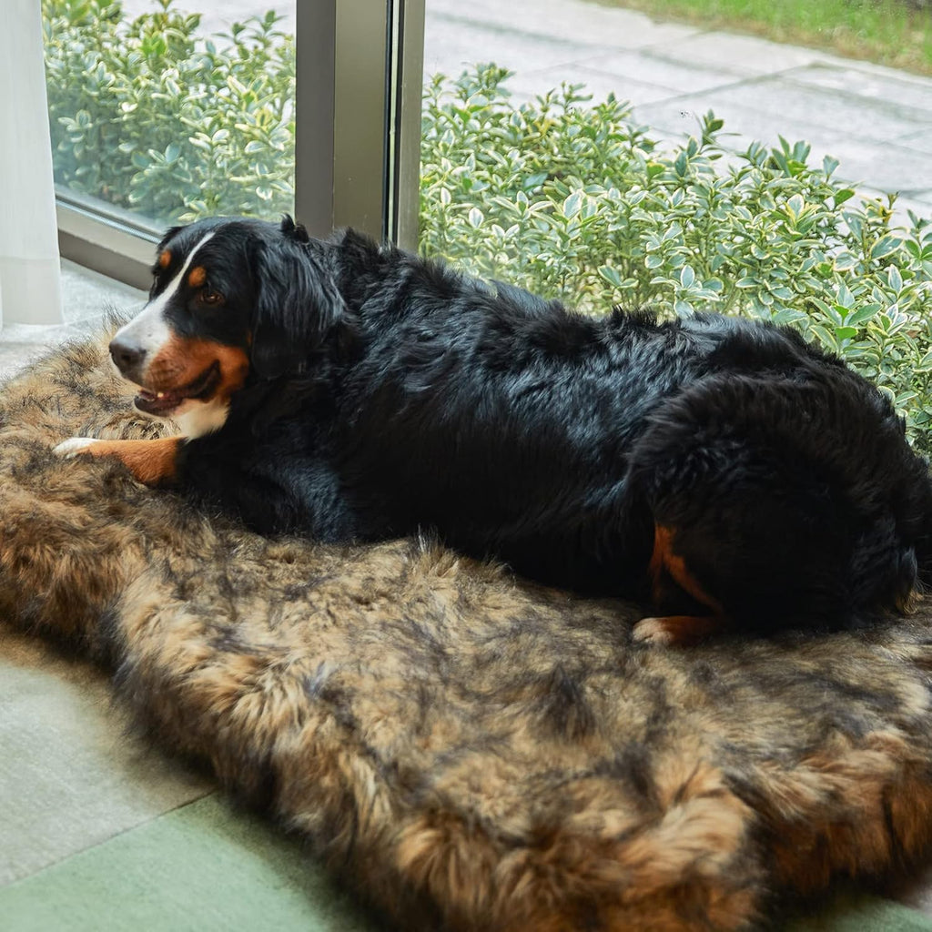 Laifug - Cama para perro de piel sintética de lujo, espuma viscoelástica de