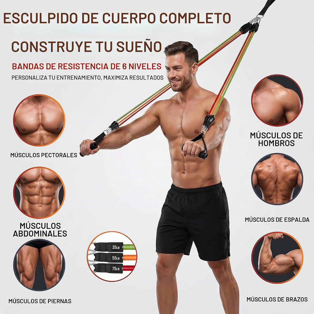 WHATAFIT Bandas de resistencia, bandas de ejercicio de 5 niveles con asas