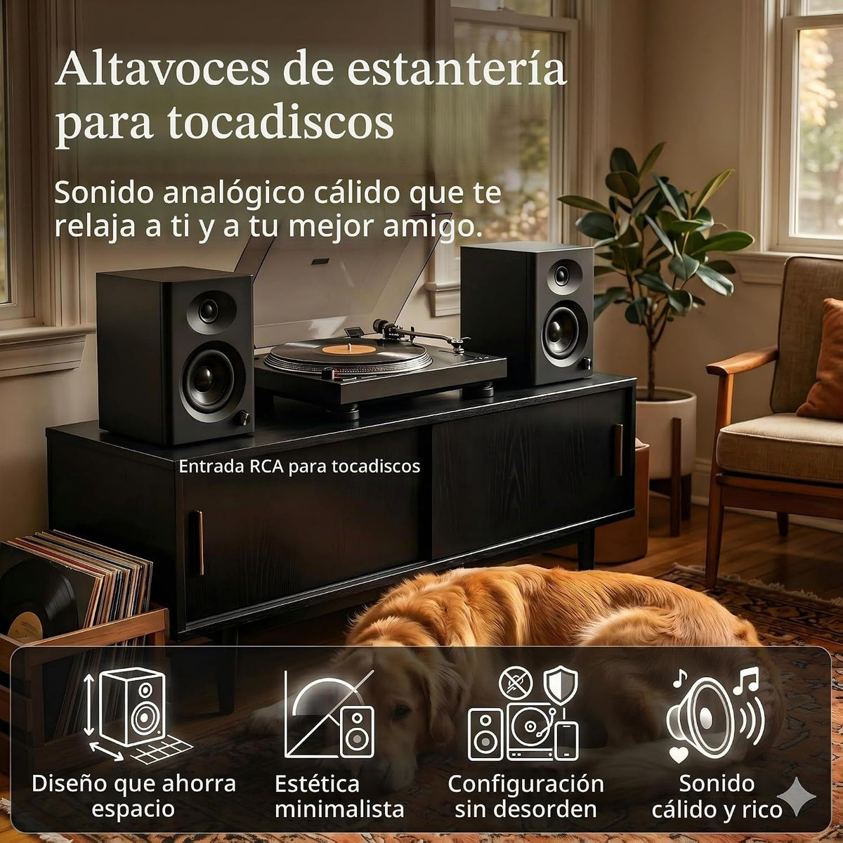 NSY - Altavoces de computadora con alimentación de audio para PC de