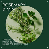 Aveda Rosemary Mint Weightless Conditioner | Lightweight Daily Cond...
