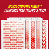 Catchmaster Tablas de pegamento para ratones e insectos, 60 unidade...