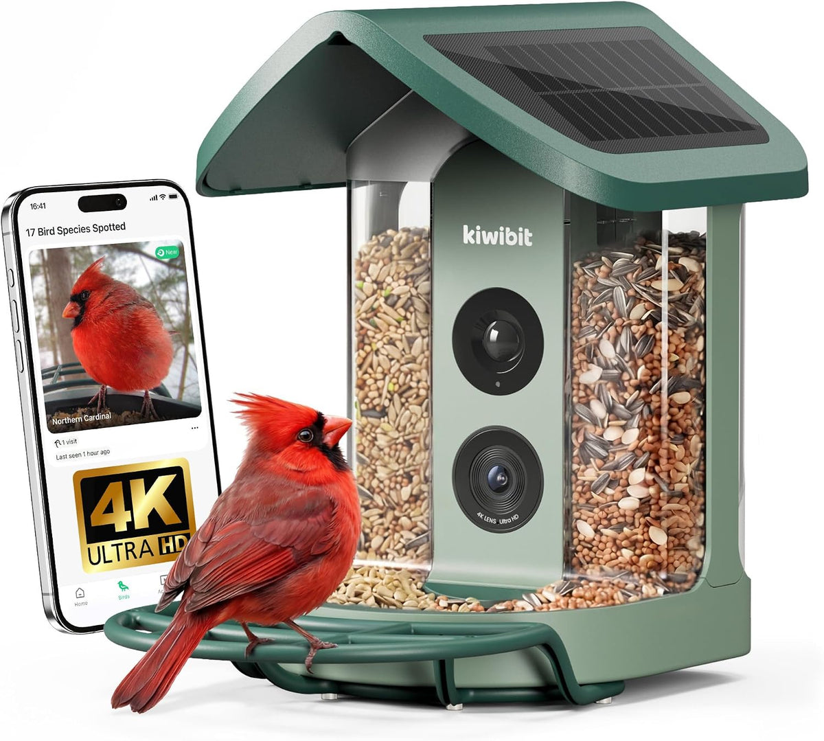 Comedero solar inteligente para pájaros con cámara, video en vivo HDR 4K, ID de pájaro AI