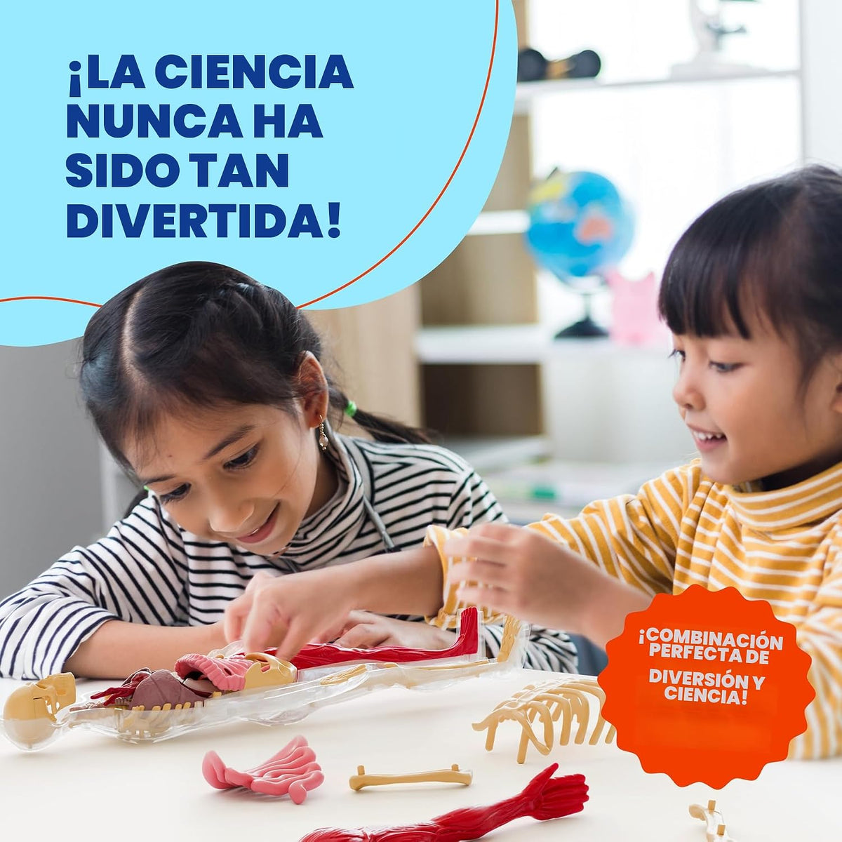 Dan&Darci Modelo de cuerpo blando de anatomía humana, kits de ciencia para niños de 4 a 8 años, juguetes STEM para regalo de cumpleaños de niños de 4, 5, 6, 7, 8 años, juguetes educativos de
