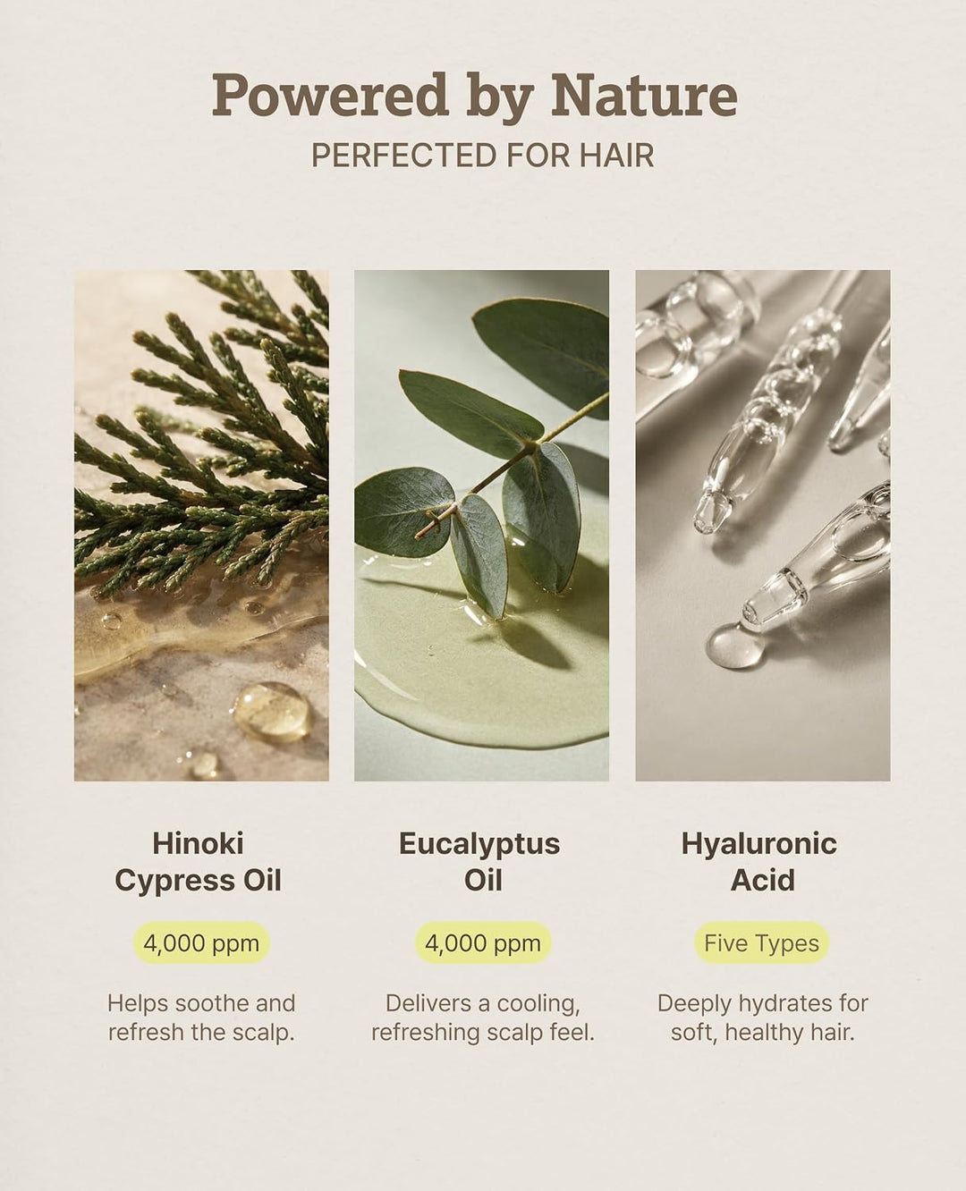 hiniis Earth Treatment | Cuidado del cabello coreano y tratamiento...