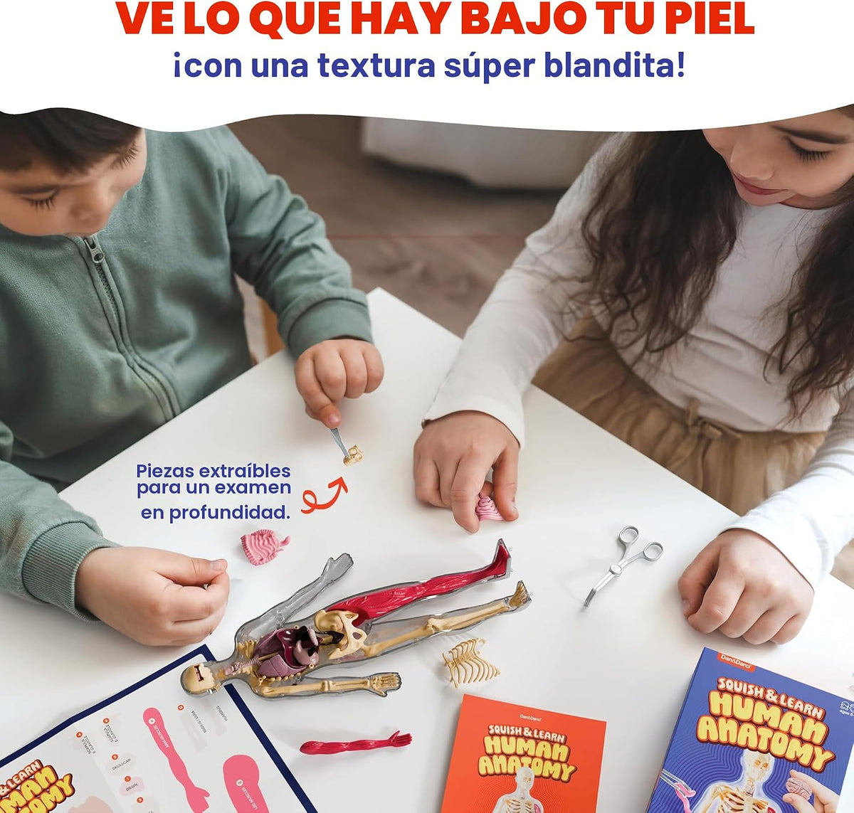 Dan&Darci Modelo de cuerpo blando de anatomía humana, kits de ciencia para niños de 4 a 8 años, juguetes STEM para regalo de cumpleaños de niños de 4, 5, 6, 7, 8 años, juguetes educativos de