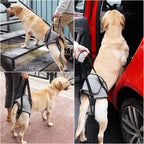 Dotoner Arnés para perros grandes, soporte para las patas traseras para ayudar a rehabilitar las extremidades traseras de perros ancianos con patas traseras débiles, discapacidades y lesiones. El arnés para perro ayuda a la recuperación de artritis ACL