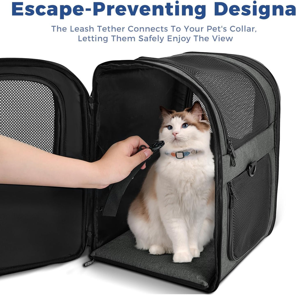 Apollo Walker - Mochila portadora para gatos, marco de soporte