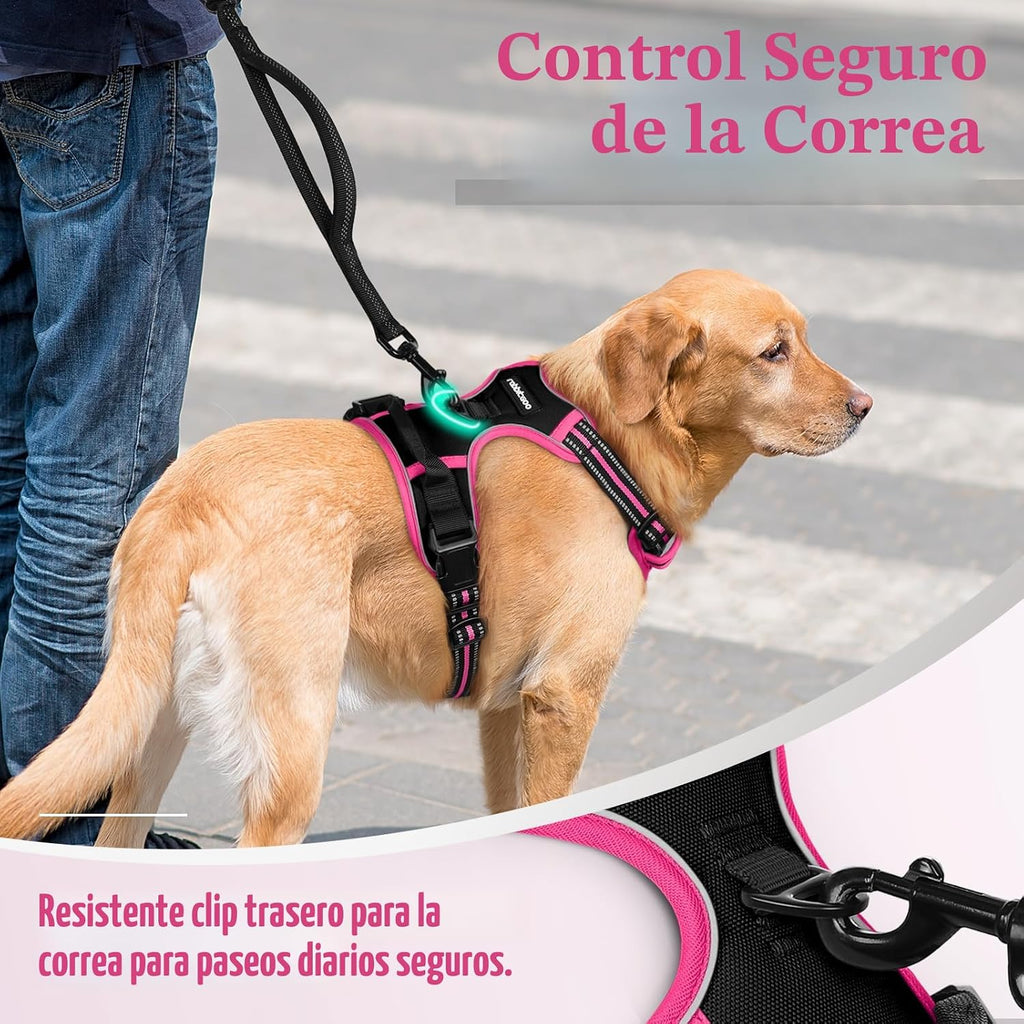 rabbitgoo - Arnés para perro, sin tirones, para perros grandes
