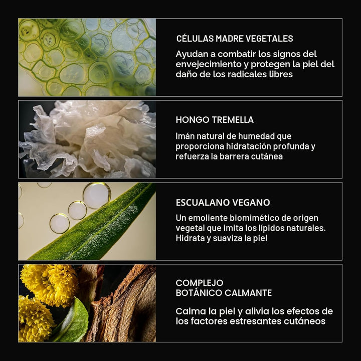 Caldera + Lab The Base Layer | Crema Hidratante Facial Orgánica par...