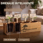 Bonsai Tree Kit Classic - Growing 4 Unique Japanese Bonzai Trees