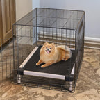 FXW TitanNest Cama elevada para perros antigalleta y anti-choque, para perros extra pequeños