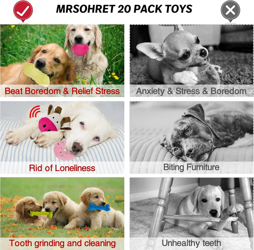 20 unidades Juguetes para Cachorros para la Dentición, Juguetes para Masticar con Cuerda, Cepillo Dental para Perros, Pelotas Dispensadoras de Premios, Juguetes de Peluche y Juguetes Chirriantes para Perros Pequeños y Medianos con Canasta para Mantenerlos