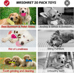 20 unidades Juguetes para Cachorros para la Dentición, Juguetes para Masticar con Cuerda, Cepillo Dental para Perros, Pelotas Dispensadoras de Premios, Juguetes de Peluche y Juguetes Chirriantes para Perros Pequeños y Medianos con Canasta para Mantenerlos