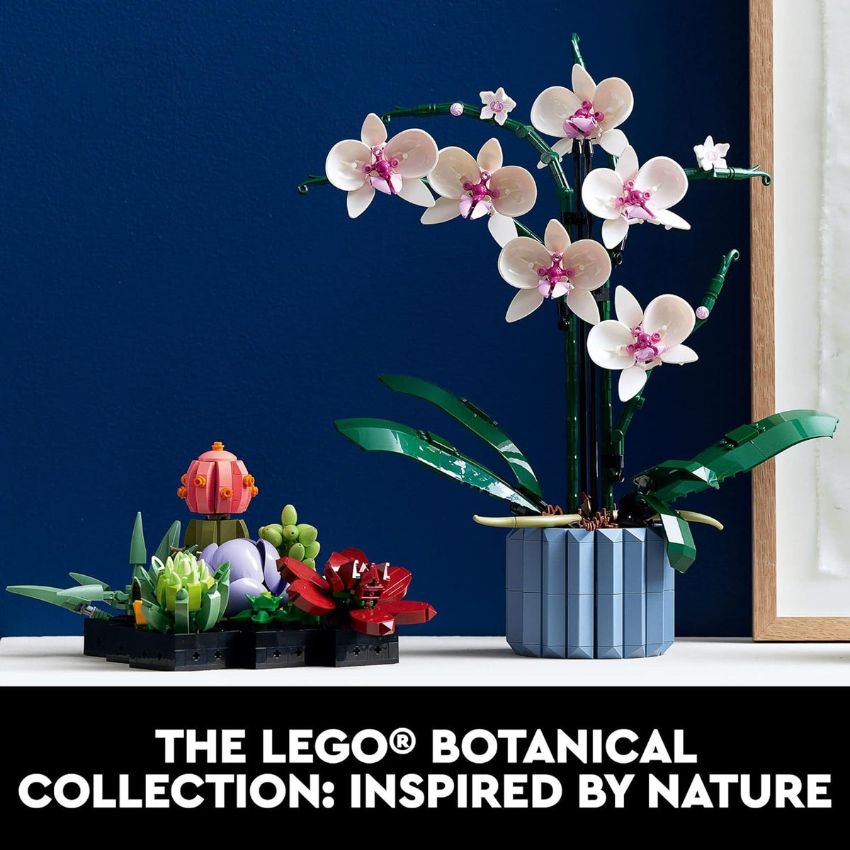 LEGO Botanicals Orchid - Juego de construcción de flores