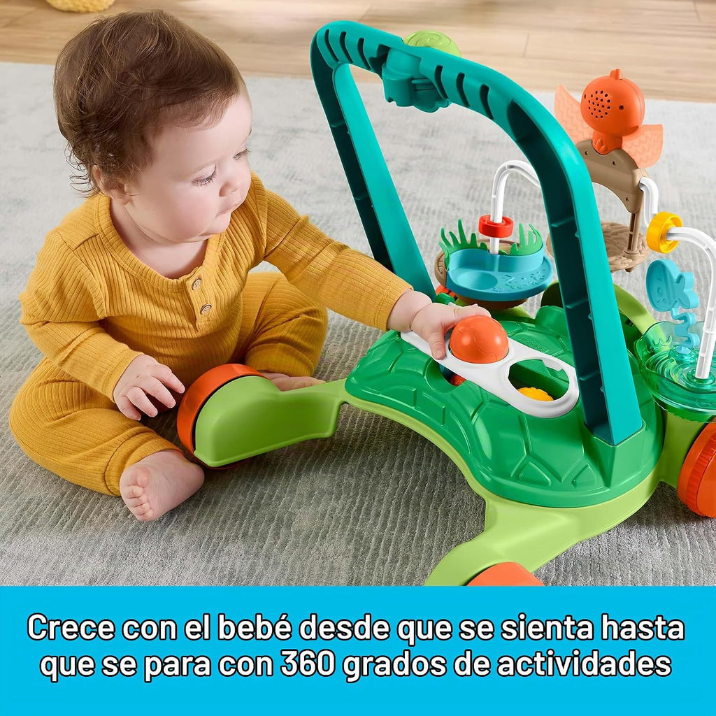 Fisher-Price Mueve contigo tortuga caminante juguete de empuje para bebé