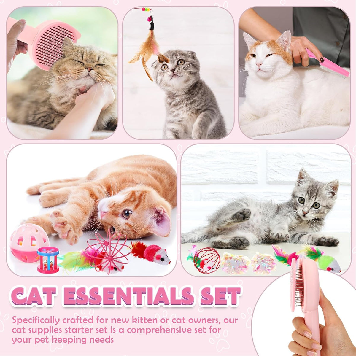 Kit de iniciación para gatitos de 31 piezas, esenciales para