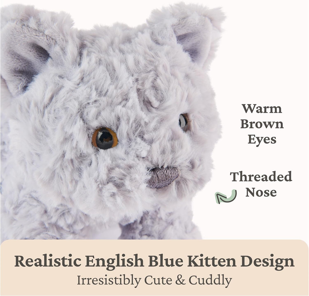 GUND Bootsie - Juguete de peluche de gatito azul inglés, animal de...