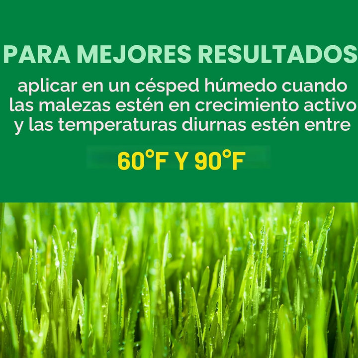 Scotts Turf Builder Weed and Feed5, Fertilizante y controlador de m...