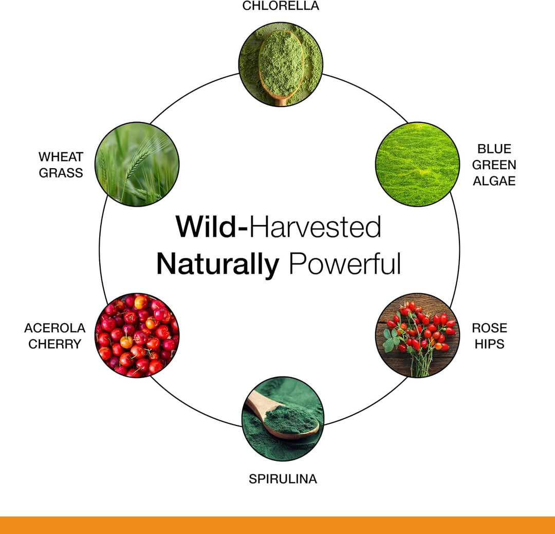 Dr. Schulze's Superfood 100 - Suplemento diario de superaliment...