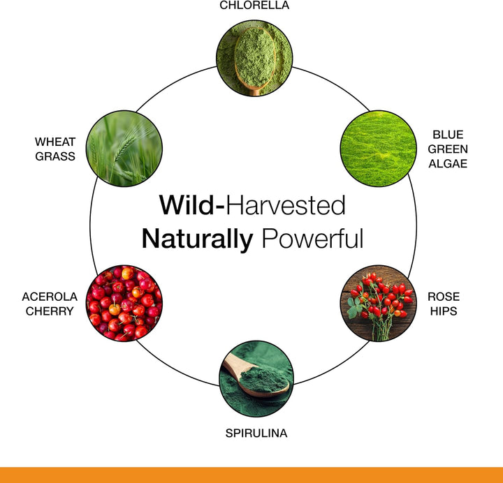 Dr. Schulze's Superfood 100 - Suplemento diario de superaliment...