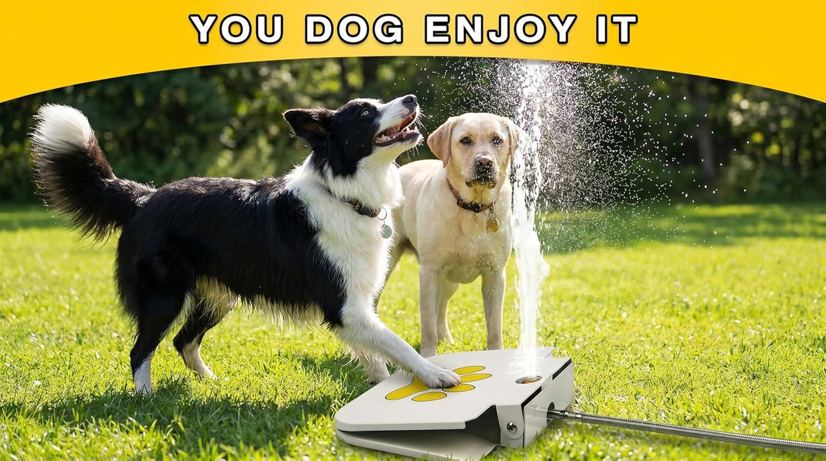 Fuente de agua para perros activada por patas, aspersor para mascotas al aire libre