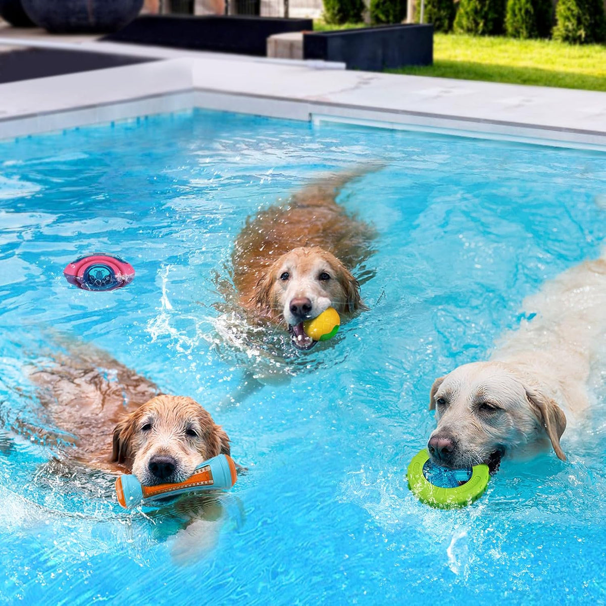 4 juguetes interactivos de piscina para perros, juguetes flotantes de agua