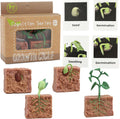 Mbrain 4 piezas Ciclo de Crecimiento de Plantas con Tarjetas Flash